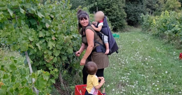 &laquo;La vigna del lupo&raquo;: questa &egrave; la storia di una rinascita