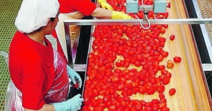 Imprese femminili in calo nel Parmense, la Cciaa: "Lavoriamo per invertire la tendenza"