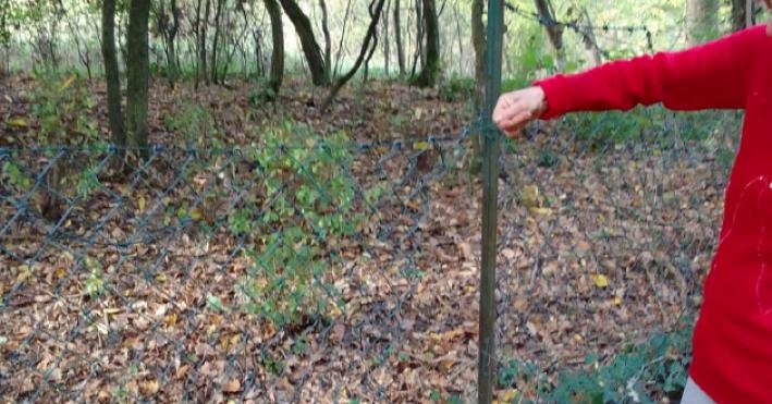 Raffica di furti a Maiatico: «I ladri ci controllano e sanno quando usciamo di casa»