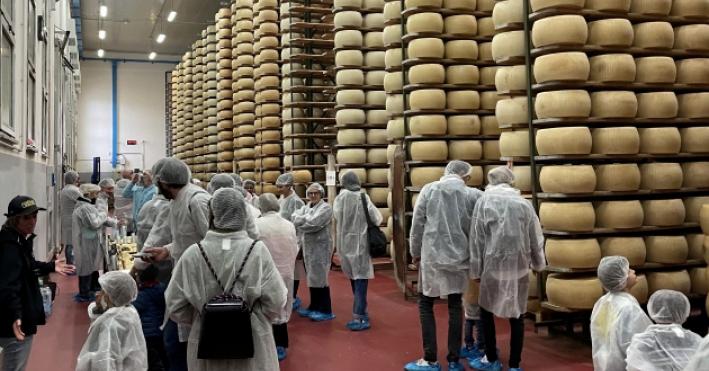Il Parmigiano Reggiano punta sulle visite nei caseifici: al via il &laquo;Progetto Turismo&raquo;