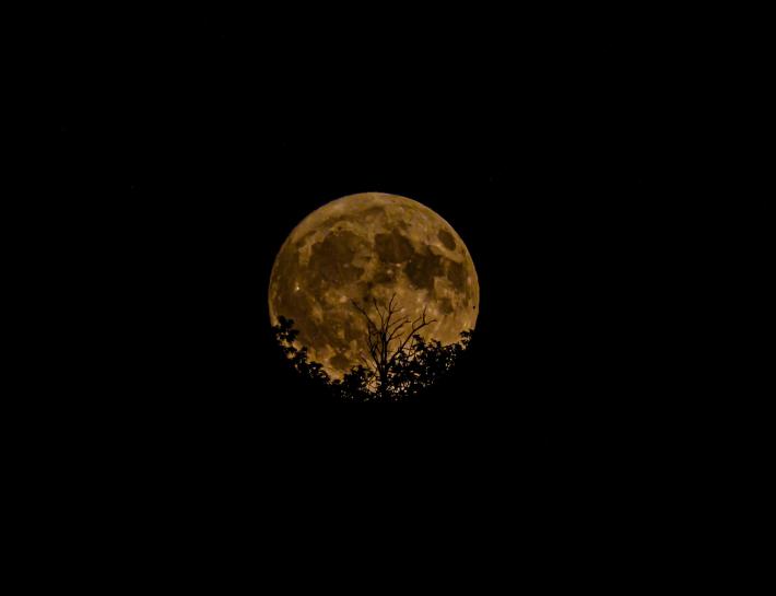 Foto della luna scattata ieri sera a Gaiano da Kikko Bolzoni