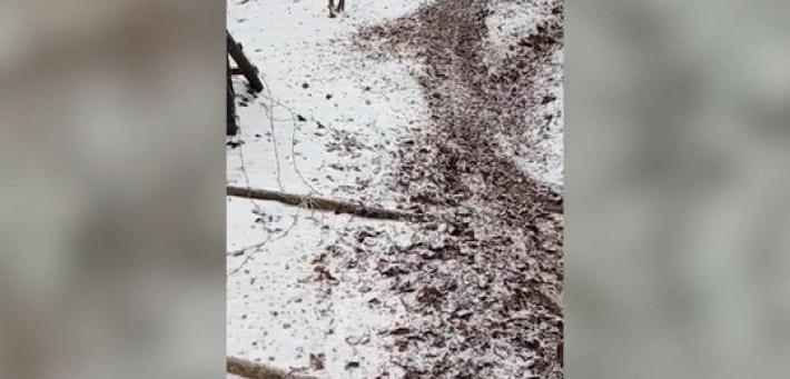 sentieri danneggiati