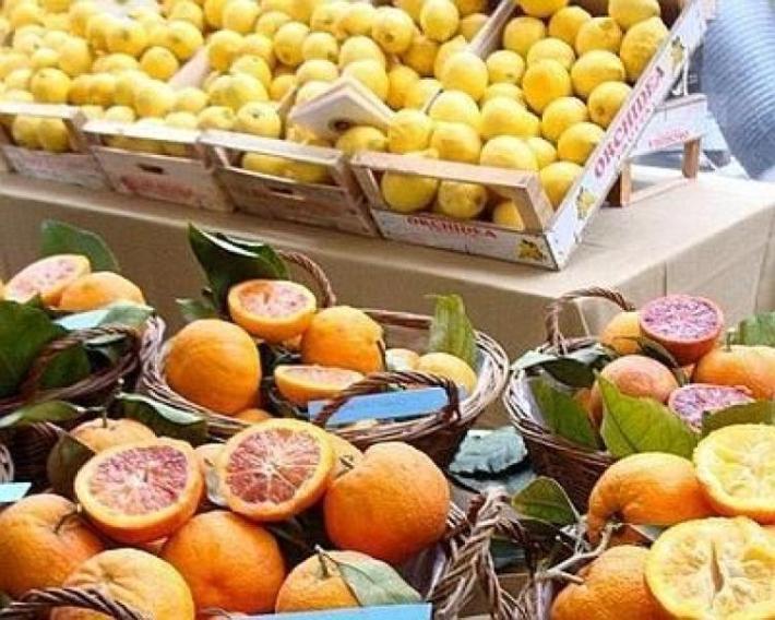 &Egrave; arrivato il tempo delle arance e dei mandarini