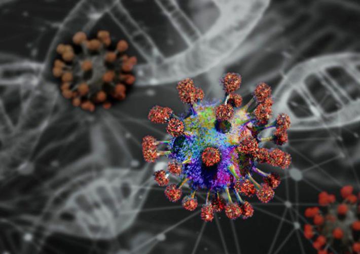 molecola coronavirus