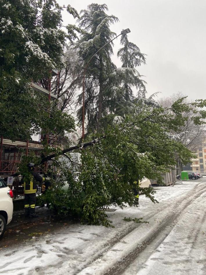 Via Fosse Ardeatine, albero si accascia su una cancellata