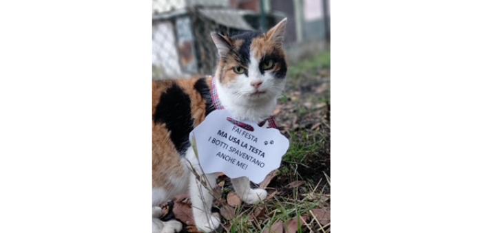 Appello volontarie Mici del Borgo  