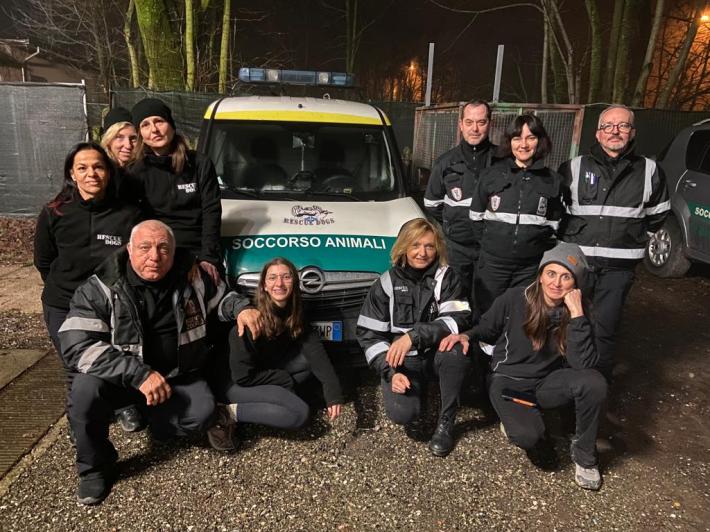 Rescue Dogs, il Capodanno &egrave; da volontari