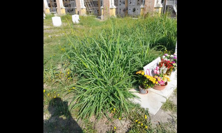  Segnalazione cimitero Ugozzolo