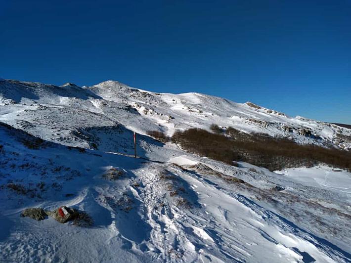 Un aereo da turismo  partito dal Campo volo di Reggio sparisce sull'Appennino. Ricerche in corso nel Modenese e nel Reggiano anche con i visori notturni