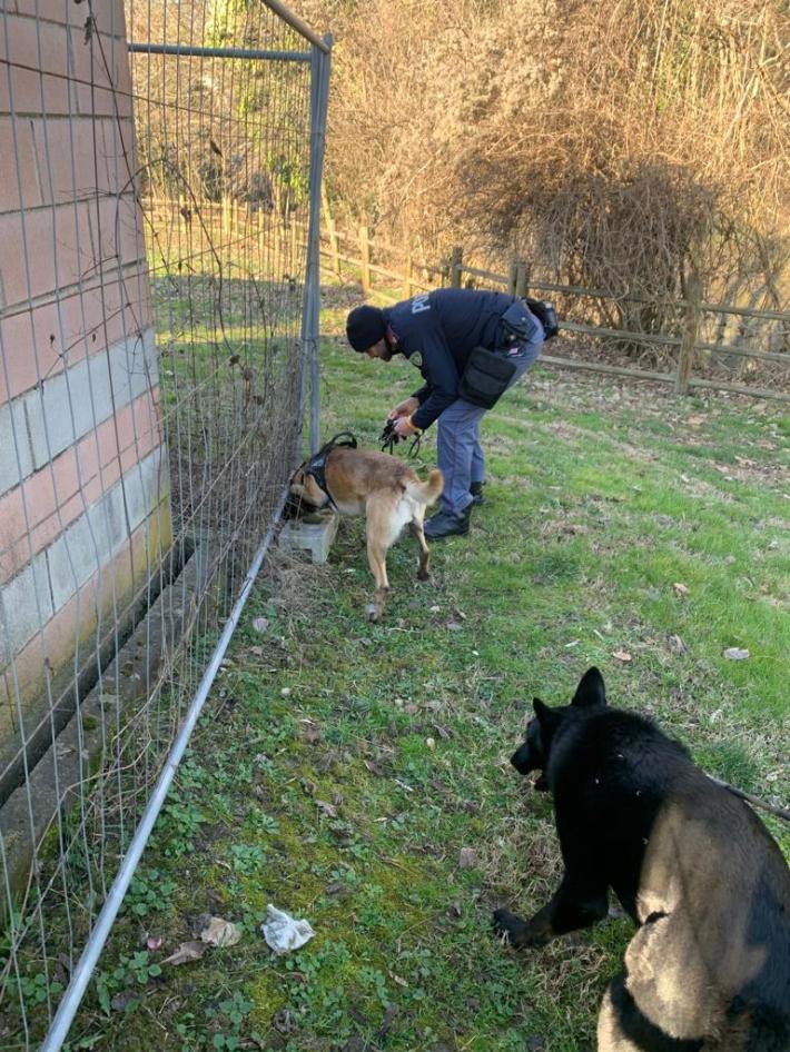 Controlli straordinari del territorio finalizzati al contrasto della criminalit&agrave;: sequestri di droga a Parco Ducale e Parco Falcone e Borsellino e Parco nord.