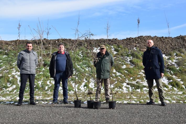 Un bosco in via Bettoli contro smog e cambiamento climatico
