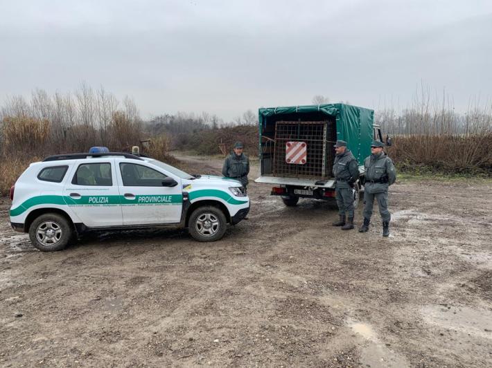 impianto sequestrato