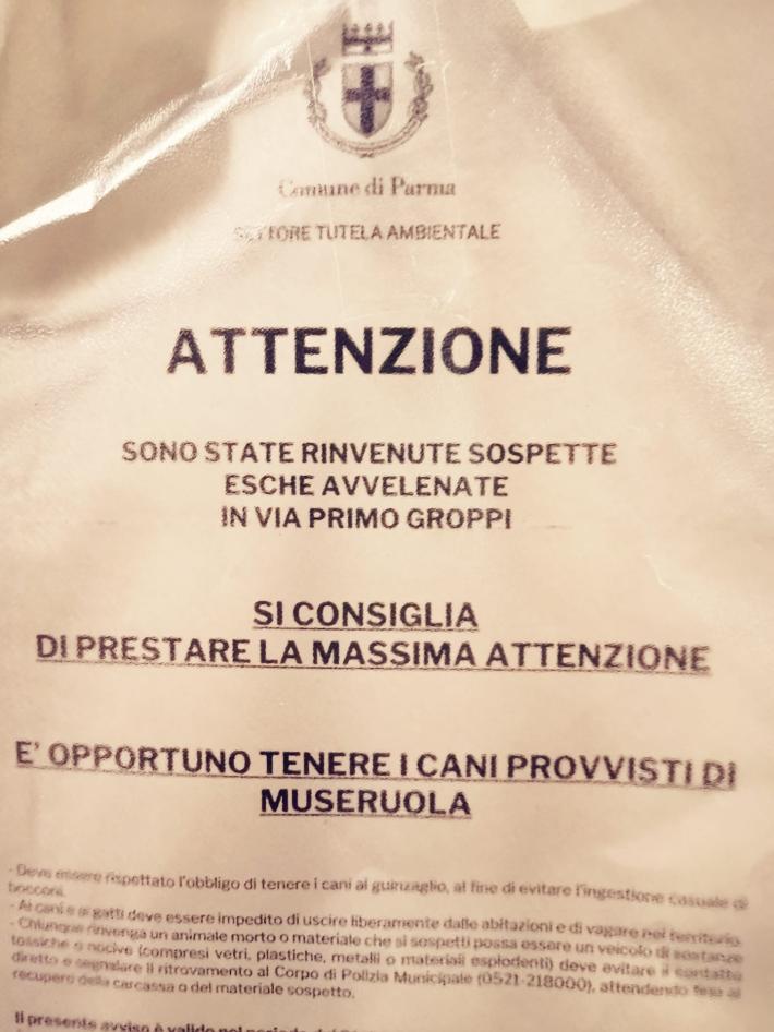 Trovate sospette esche avvelenate in via Primo Groppi: attenzione agli amici a quattro zampe