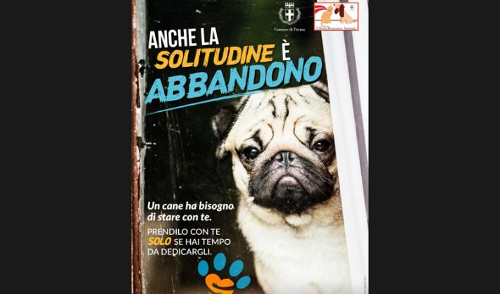 Benessere animale: via alle campagne