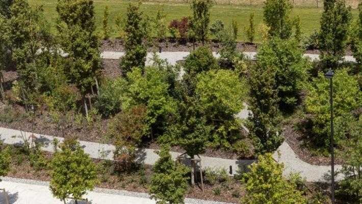 Sabato 19/03 ore 14.30 - Inaugurazione Bosco Urbano di Parma Mia