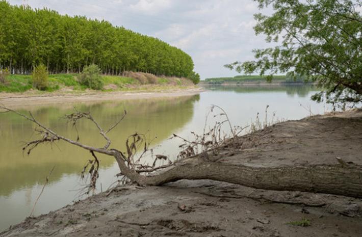 Cadavere dentro un borsone affiora dalle acque del Po