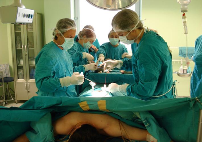 trapianto midollo osseo 