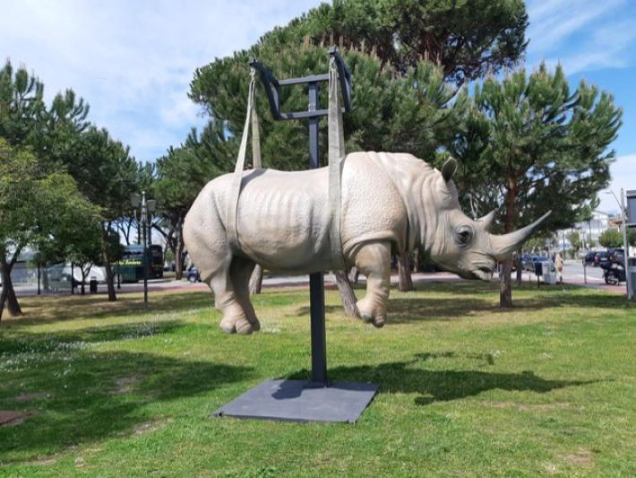 Animali di Bombardieri invadono le strade di Forte dei Marmi