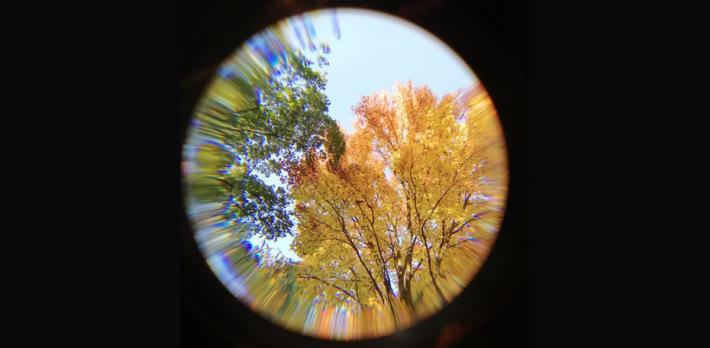 Mostre: "Storie di fili" con tre artiste allo Csac di Parma