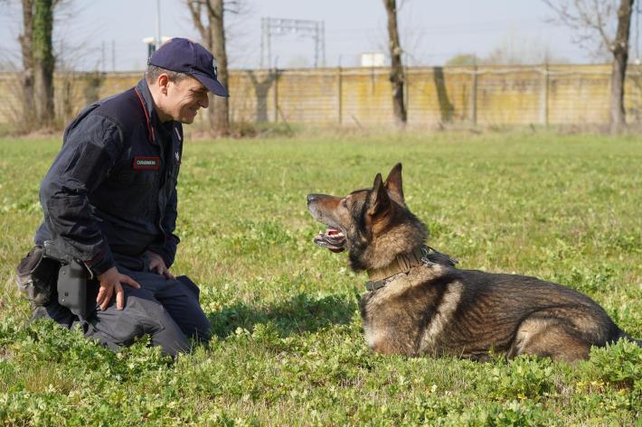 Toano - Trovato morto nel pozzo: nota nucleo cinofili carabinieri