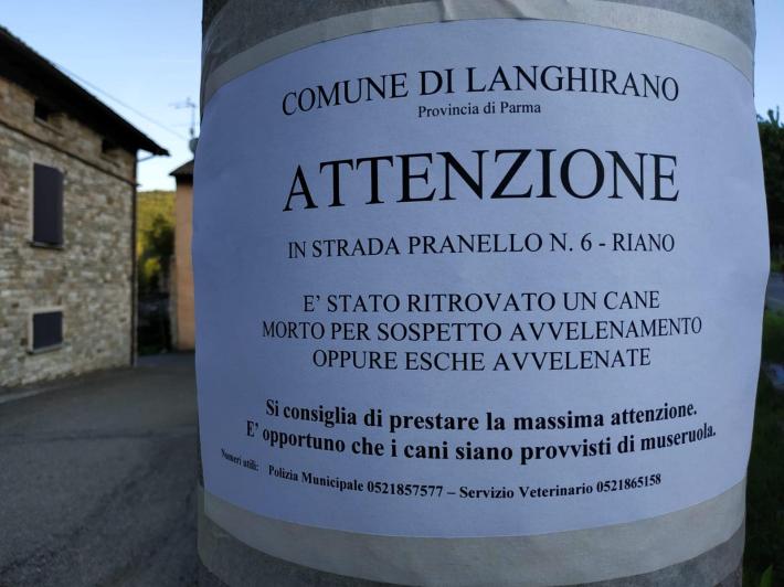 Riano,  cane trovato morto per avvelenamento. E' allarme bocconi