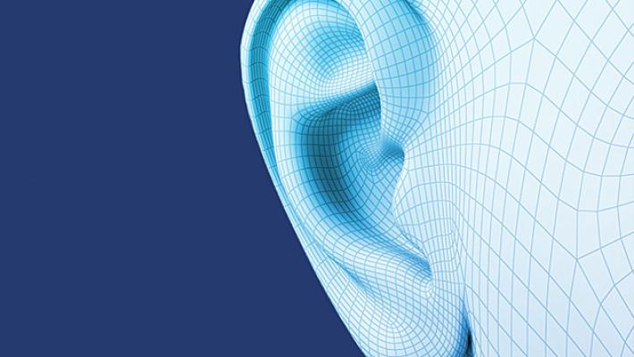 Nyt, 1/0 trapianto orecchio stampato in 3D con cellule umane 