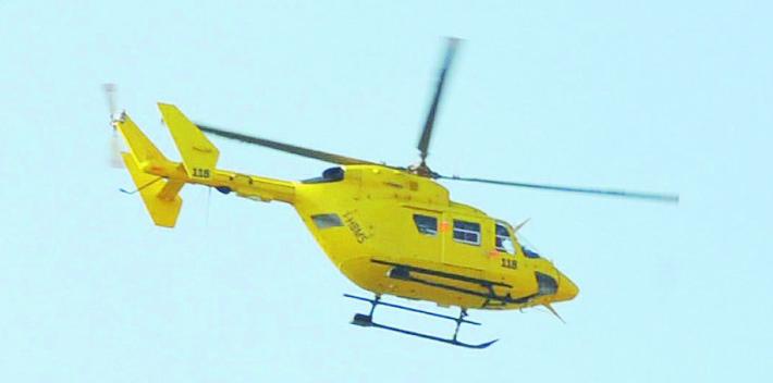 Punto da un calabrone 22enne perde i sensi