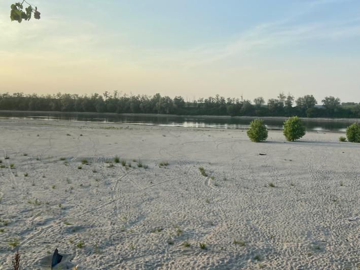 CRISI IDRICA - A PARMA RADDOPPIANO I COSTI DI IRRIGAZIONE DEL POMODORO
