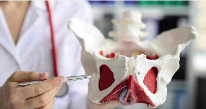 Riabilitazione del pavimento pelvico: quando &egrave; indicata?