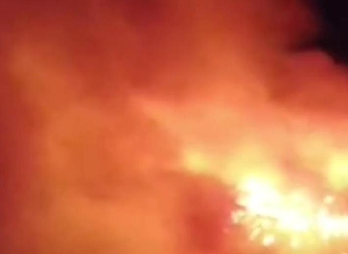 Due giorni di fiamme in Versilia e nel Carso: evacuate 500 persone a Massarosa, ancora stop ai treni e A4 tra Trieste e Monfalcone