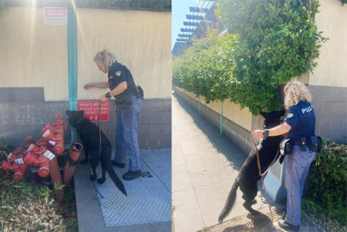 Controlli straordinari del territorio finalizzati al contrasto della criminalit&agrave;: sequestri di droga al Parco Falcone e Borsellino.