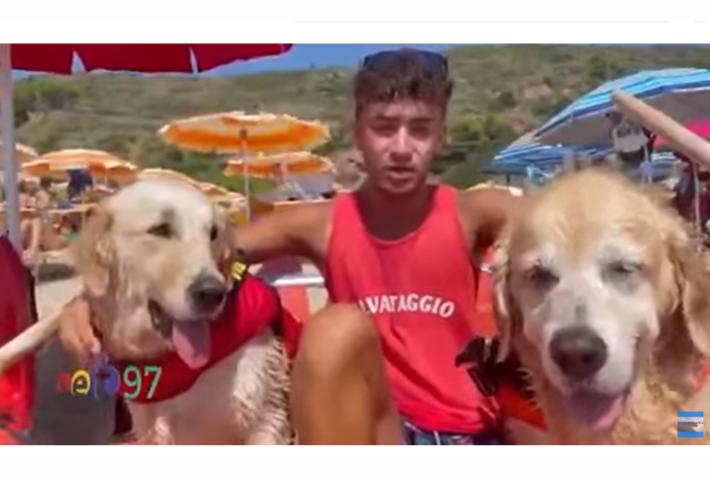 Affonda pedalo', cani bagnino salvano cinque ragazzi