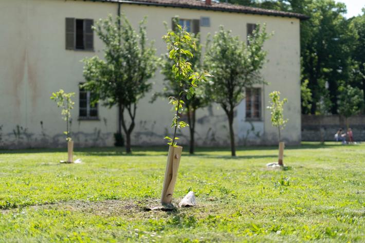 KilometroVerdeParma: opportunit&agrave; formative per i pi&ugrave; giovani