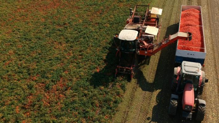 KilometroVerdeParma:  Rodolfi Mansueto entra nel Consorzio