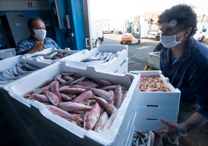 Stop pesce fresco, scatta il fermo sull'Adriatico