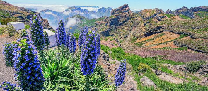 Madeira, l'isola che c'&egrave; 
