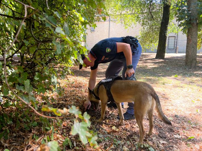 Controlli straordinari del territorio finalizzati al contrasto della criminalit&agrave;: sequestri di droga al Parco Ducale , Parco Falcone e Borsellino Stazione Ferroviaria