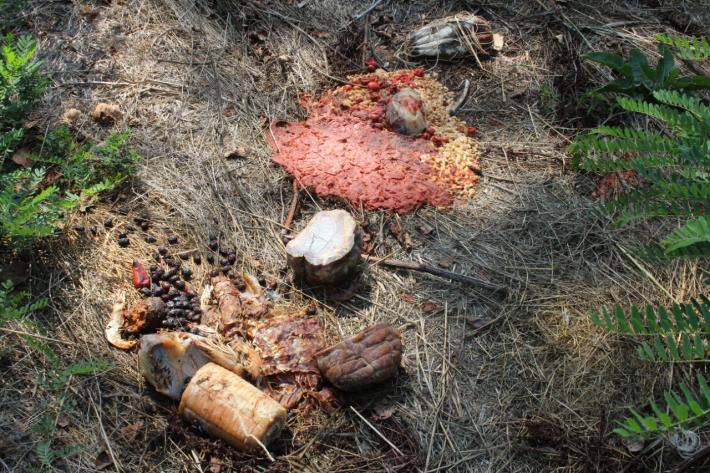 E nella Golena del Po arrivano anche i salumi avariati... 