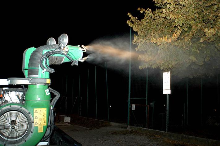 Misure urgenti di contenimento della diffusione di Culex pipiens (zanzara comune), vettore di infezione da West Nile Virus.  