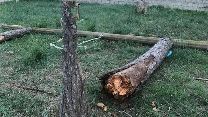 Cede la trave dell'altalena, muore una bambina di 12 anni 