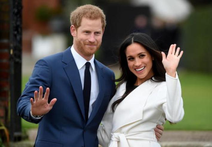 Meghan e Harry adottano uno dei 4.000 beagle salvati in Virginia