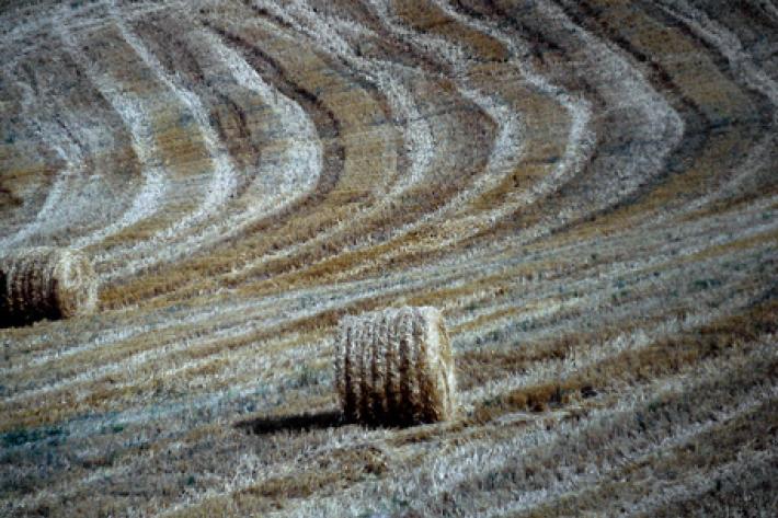 Si arrampica su rotoballe e precipita, grave 13enne