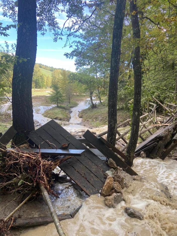 Il Parco nazionale sul crollo a le Fonti di Poiano: cambiamenti ed evoluzione naturale
