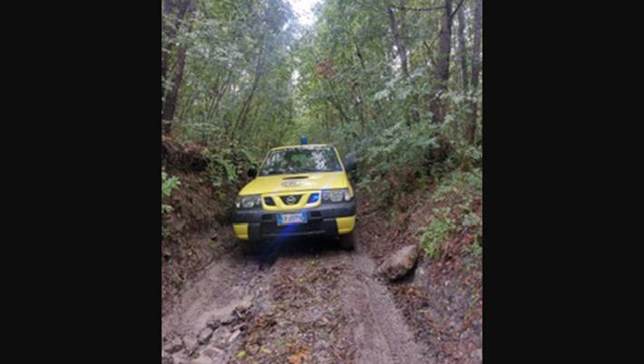 Trauma alla caviglia per una fungaiola