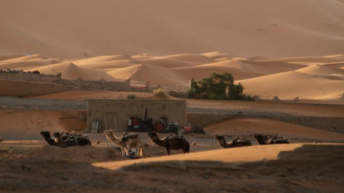 testo reportage per venerd&igrave; 14/10