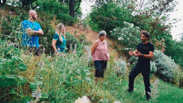 testo wild per domenica 30/10