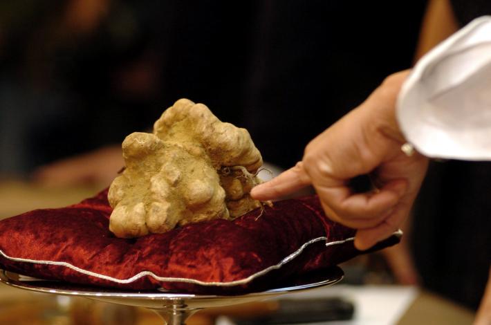 Asta mondiale del tartufo d'Alba: quasi mezzo milione di euro in beneficenza
