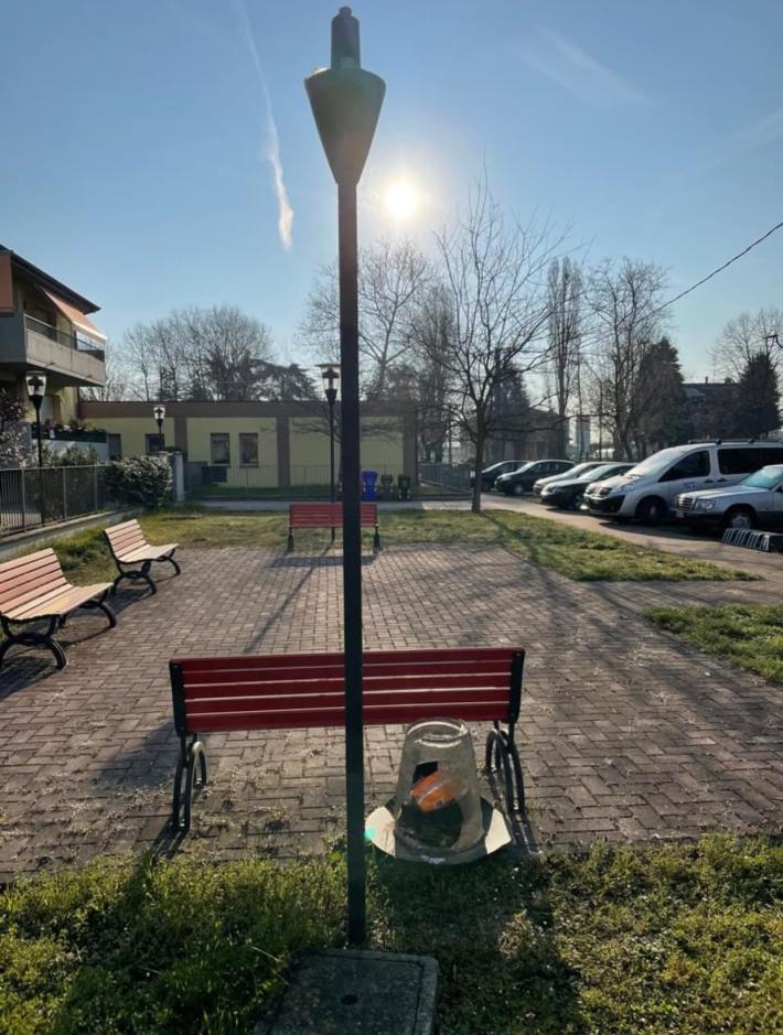 Coniglietto al parco ucciso da un grosso  cane