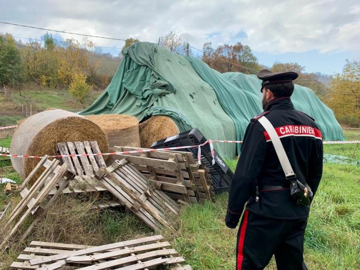 Agricoltore muore schiaciato da una rotoballa a Scandiano