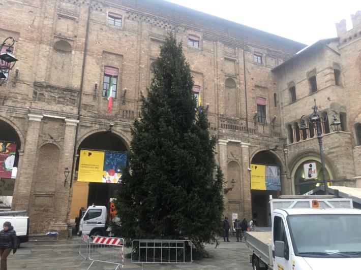 Piazza Garibaldi, &egrave; arrivato l'Albero di Natale - Foto 